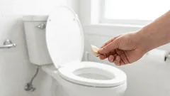 Knoblauch in die Toilette spülen: Warum ist das notwendig und warum wird es empfohlen?