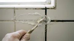 Fliesen und Fugen im Badezimmer werden wie neu: eine schnelle Methode, um Schmutz und Schimmel zu beseitigen